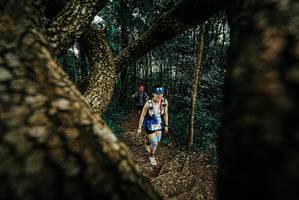 BIB: 
                            <button type="button" onclick="openModal(25667339)" class="btn btn-primary btn-sm float-right btn-popup" data-toggle="modal" data-target=".modal-high-quality">
                        <i class="fas fa-shopping-cart"></i> Add to Cart
                    </button>
                                            <button type="button" onclick="isThisMe(25667339, true)" class="btn btn-success btn-sm float-right btn-popup btn-isme hidden" data-toggle="tooltip" data-placement="bottom" title="นี่คือรูปของคุณใช่ไหม คลิกที่นี่เพื่อเอาเข้าอัลบั้ม">
                        <i class="fas fa-plus"></i> Add to album
                    </button>
                    <button type="button" onclick="isThisMe(25667339, false)" class="btn btn-warning btn-sm float-right btn-popup btn-isnotme hidden">
                        <i class="fas fa-ban"></i> Remove from album
                    </button>